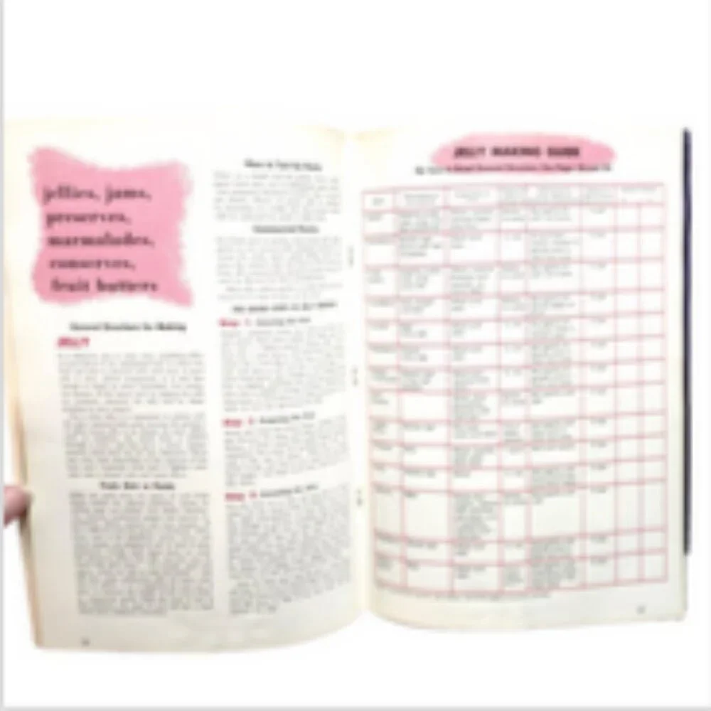 BerNARdin Home Canning Guide 1962 RARE VINTAGE COLLECTIBLE